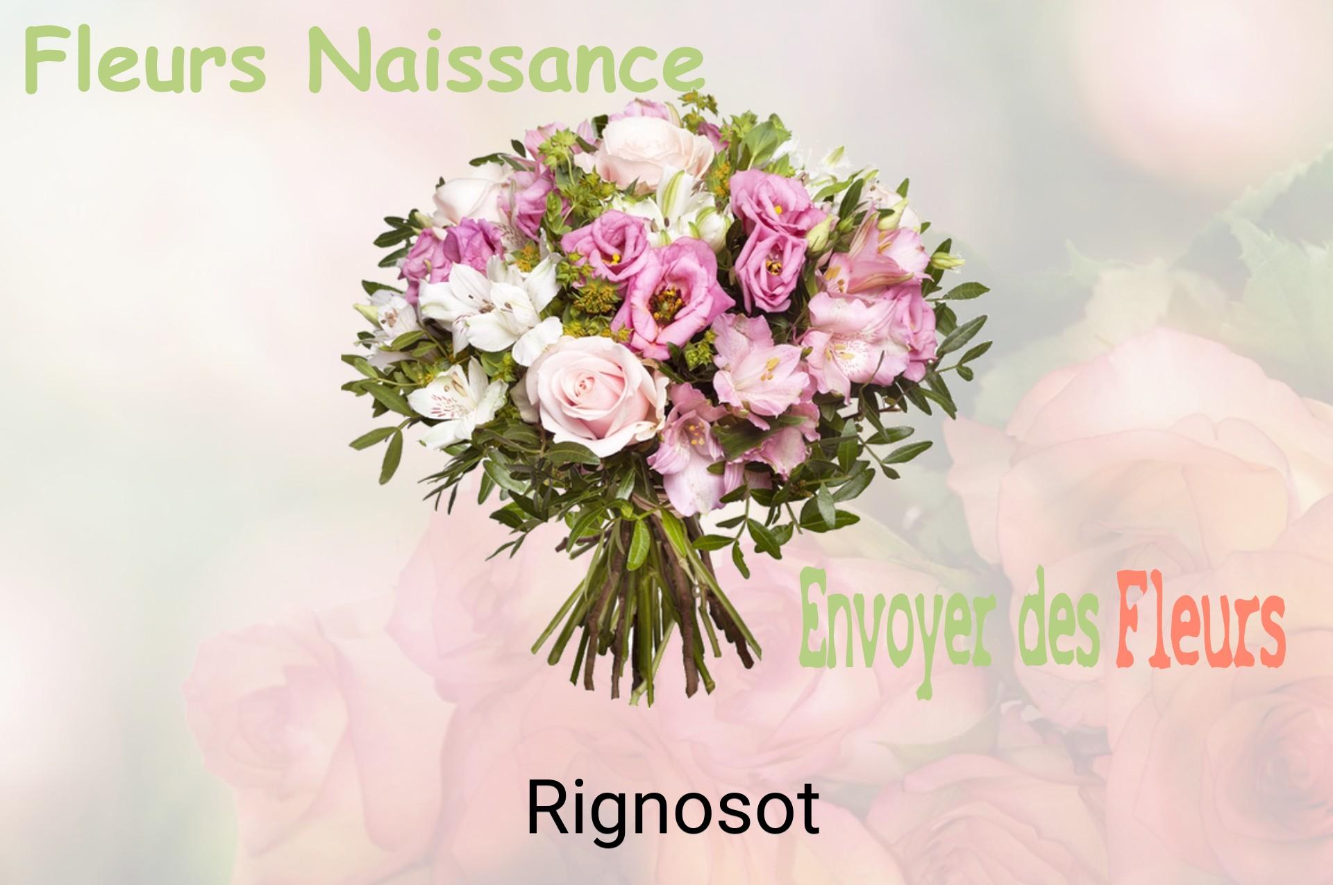 Bouquet de fleurs de naissance livré à Rignosot