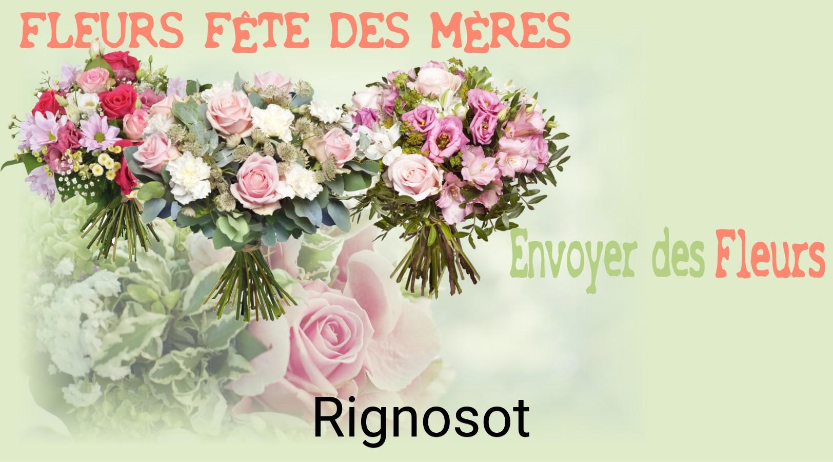 Bouquet de Fête des Mères livré à Rignosot